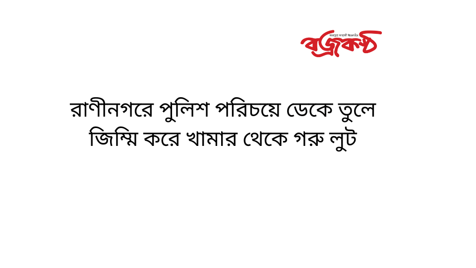 রাণীনগরে পুলিশ পরিচয়ে ডেকে তুলে জিম্মি করে খামার থেকে গরু লুট