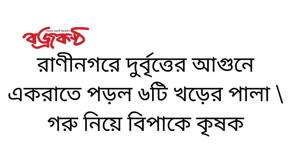 রাণীনগরে দুর্বৃত্তের আগুনে একরাতে পড়ল ৬টি খড়ের পালা \ গরু নিয়ে বিপাকে কৃষক