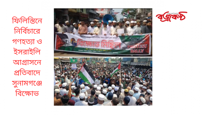 ফিলিস্তিনে নির্বিচারে গণহত্যা ও ইসরাইলি আগ্রাসনে প্রতিবাদে সুনামগঞ্জে বিক্ষোভ