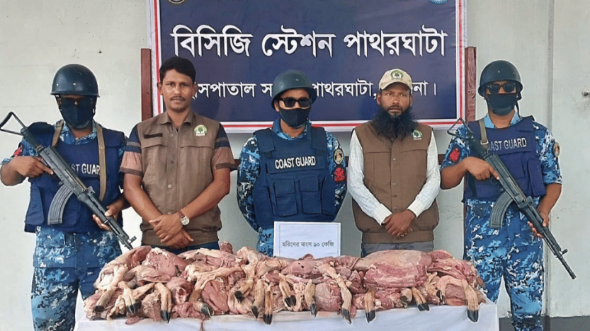 বরগুনায় কোস্টগার্ডের অভিযানে হরিণের মাংস জব্দ