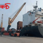 মোংলা বন্দরে বেড়েছে বিদেশি জাহাজ  রিকন্ডিশন গাড়ি আমদানিতে রেকর্ড