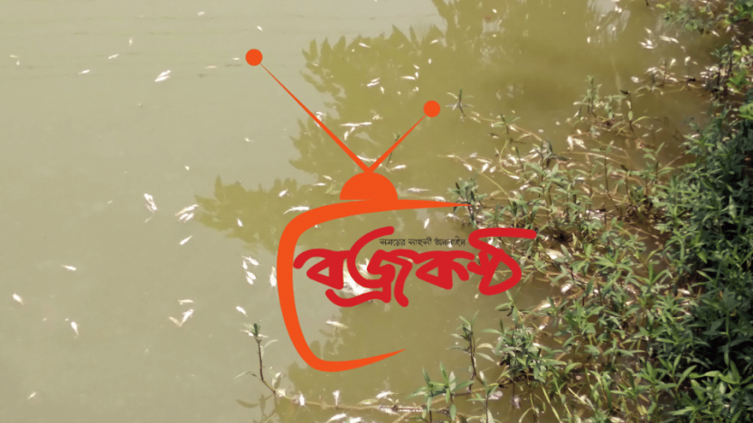রাণীনগরে যুবদল নেতার পুকুরে বিষ দিয়ে ১৫লাখ টাকার মাছ নিধনের অভিযোগ