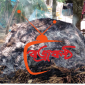রাণীনগরে আগুন দিয়ে খড়ের পালা পুড়িয়ে দেয়ার অভিযোগ
