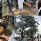 নবীগঞ্জের ফিল্মি স্টাইলে নিষিদ্ধ ঘোষিত সন্ত্রাসী আওয়ামীলীগ নেতা জয়নাল বাহিনীর হামলা মৃত্যু পথযাত্রী ব্যবসায়ী ওসমানীতে! থানায় মামলা