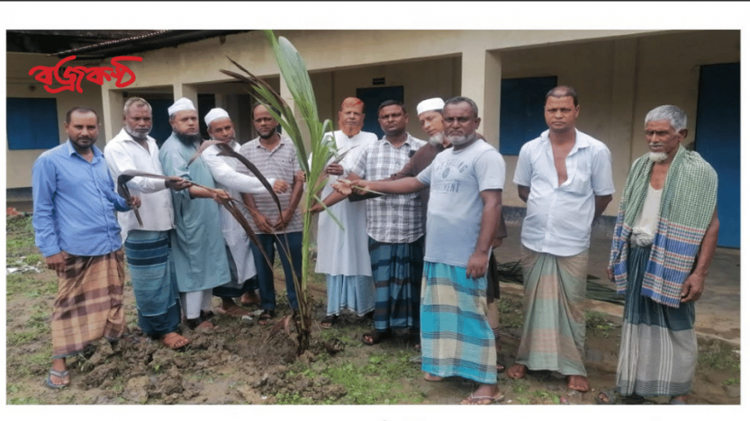 ছাতকে মাদ্রাসায় নারিকেল গাছের চারা রোপন