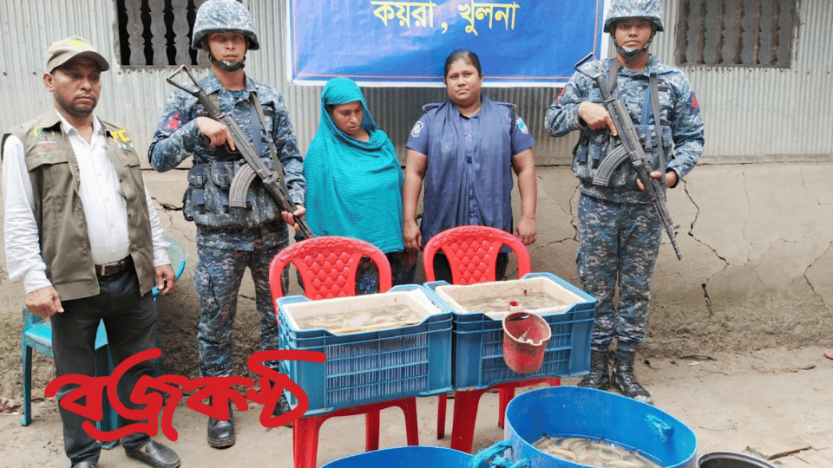 কয়রায় নৌবাহিনীর যৌথ অভিযানে অবৈধভাবে জেলি পুশ করে ওজন বৃদ্ধি করা চিংড়ি আটক