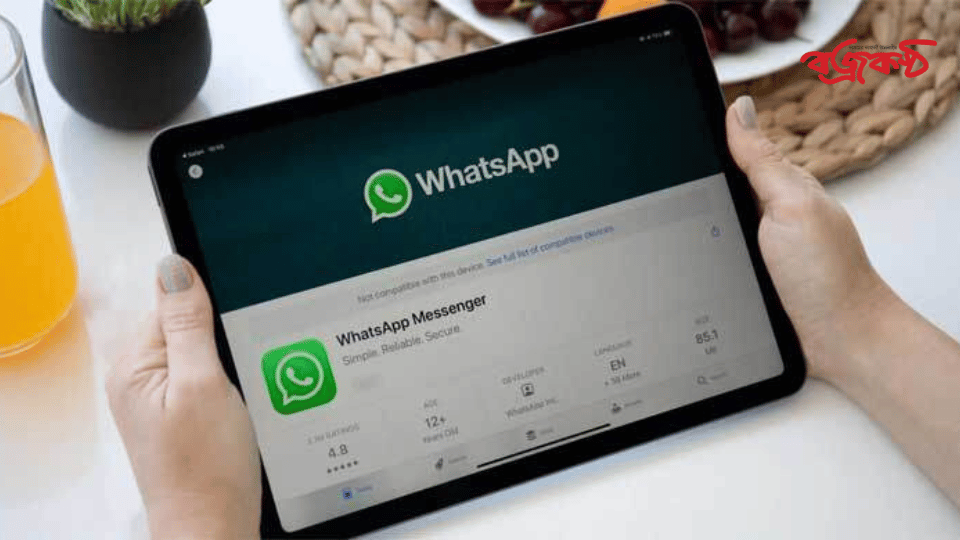 আইপ্যাডে ব্যবহার করা যাবে হোয়াটসঅ্যাপ