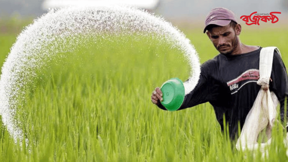 ১০০ টন সার কিনবে সরকার, ব্যয় ৩৭৯ কোটি টাকা