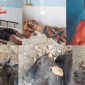 সুনামগঞ্জে গবাদিপশু হত্যার পর ক্ষতিগ্রস্থ ৩ কৃষককে জখমের ঘটনায় মামলা দায়ের