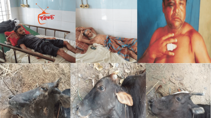 সুনামগঞ্জে গবাদিপশু হত্যার পর ক্ষতিগ্রস্থ  ৩ কৃষককে জখমের ঘটনায় মামলা দায়ের