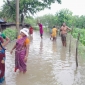 টানা ভারী বৃষ্টিতে কোটি কোটি টাকার ক্ষতি