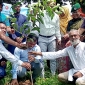 ফুলবাড়ীতে ‘‘এক শহীদ, এক বৃক্ষ’’ স্লোাগানে ৭ হাজার বৃক্ষরোপন কর্মসুচির উদ্বোধন
