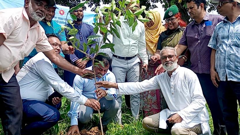 ফুলবাড়ীতে ‘‘এক শহীদ, এক বৃক্ষ’’ স্লোাগানে ৭ হাজার বৃক্ষরোপন কর্মসুচির উদ্বোধন