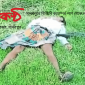 মাধবপুরে বিজিবি ক্যাম্পের পাশ থেকে লাশ উদ্ধার