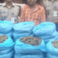 হবিগঞ্জের নবীগঞ্জে সেনাবাহিনীর অভিযানে ২৯ কেজি গাঁজা সহ মাদক ব্যবসায়ী রায়েছ গ্রেফতার