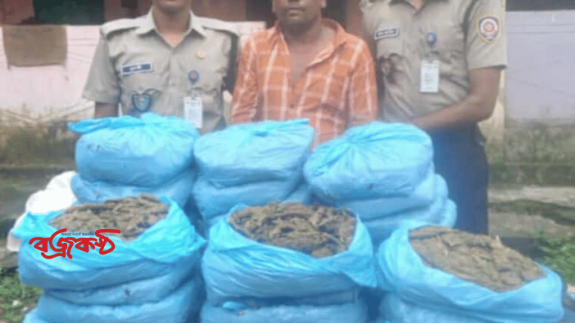 হবিগঞ্জের নবীগঞ্জে সেনাবাহিনীর অভিযানে ২৯ কেজি গাঁজা সহ মাদক ব্যবসায়ী রায়েছ গ্রেফতার