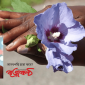 মানবপন্থি হবো কবে?