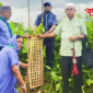 জুলাই গণঅভ্যুত্থানে শহিদ স্কাউটদের স্মরণে মাধবপুরে বৃক্ষরোপণ কর্মসূচি পালিত