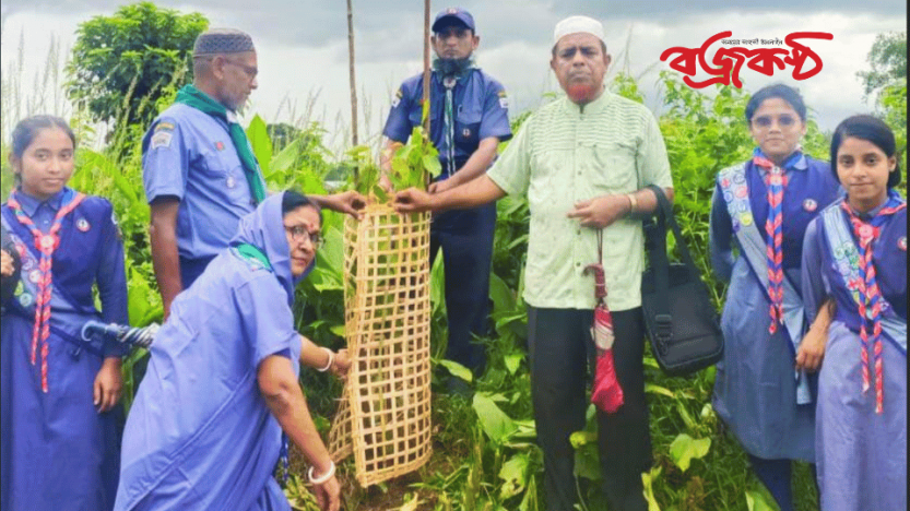 জুলাই গণঅভ্যুত্থানে শহিদ স্কাউটদের স্মরণে মাধবপুরে বৃক্ষরোপণ কর্মসূচি পালিত