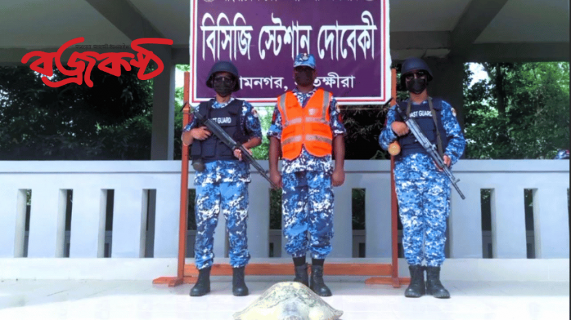 সুন্দরবনের নদী থেকে আহত কচ্ছপ   উদ্ধার করেছে কোস্টগার্ড