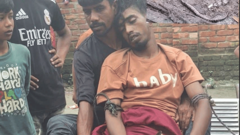 আত্রাইয়ে বিষধর সাপে কামড়ে যুবকের করুণ মৃত্যু