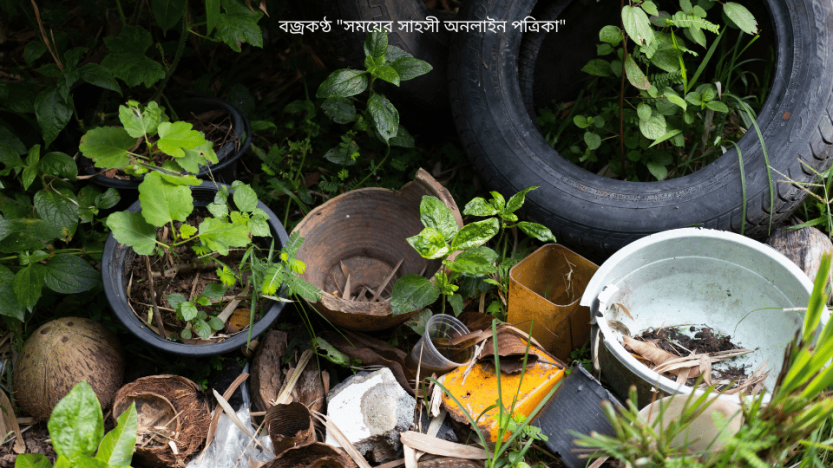ডেঙ্গুতে আরো ৪ জনের মৃত্যু