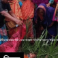 দৌলতপুর মুখবাঁধা অবস্থায় মাঠ থেকে জায়মা পাগলির মরদেহ উদ্ধার করেছে পুলিশ