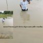 ছাতকে শিক্ষকের দুর্ভোগ বাঁশের সেঁতুতে ভরসা গ্রামীণ পথচারীর।