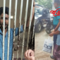 ধানমন্ডি ৩২ নম্বরে ফুল দিতে গিয়ে মারধরের শিকার সেই রিকশাচালকের জামিন
