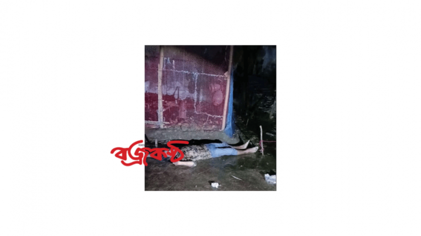 সেনবাগে মুরগির খামারে বিদ্যুৎস্পৃষ্টে অটোরিকশা চালকের মৃত্যু