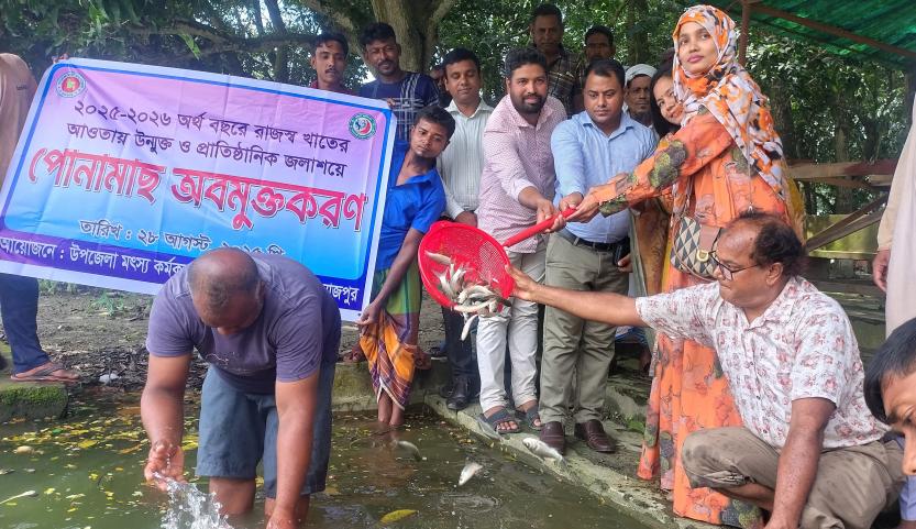 ফুলবাড়ীতে পোনা মাছ অবমুক্ত করন