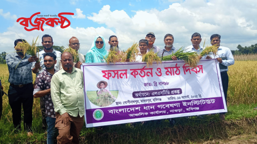 মাধবপুরে ফসল কর্তন অনুষ্টানে ব্রি মহাপরিচালক ‘খাদ্য নিরাপত্তা নিশ্চিতে কৃষি প্রযুক্তি নিয়ে গবেষণা হচ্ছে’