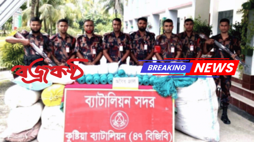 কুষ্টিয়ায় বিজিবির অভিযানে প্রায় ১৫ লক্ষ টাকার অবৈধ মালামাল আটক