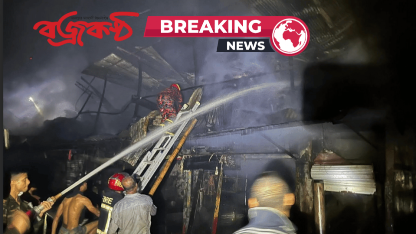 সেনবাগে ভয়াবহ অগ্নিকাণ্ডে কারখানাসহ ৩০টিরও বেশি দোকান ভস্মীভূত