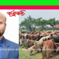 সুনামগঞ্জে ভারতীয় গরু নিলাম কার্যক্রম স্থগিত : জিম্মাদার নাটক মঞ্চস্থ করতে গিয়ে ফেসে যাচ্ছেন এডিএম রেজাউল
