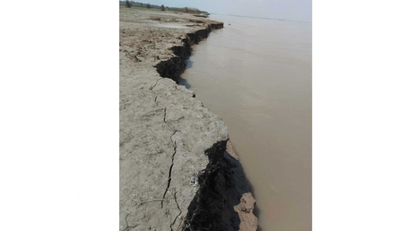 দৌলতপুর মরিচা ইউনিয়নে পদ্মা নদীর ভাঙ্গন চরমে আতংকিত এলাকাবাসী