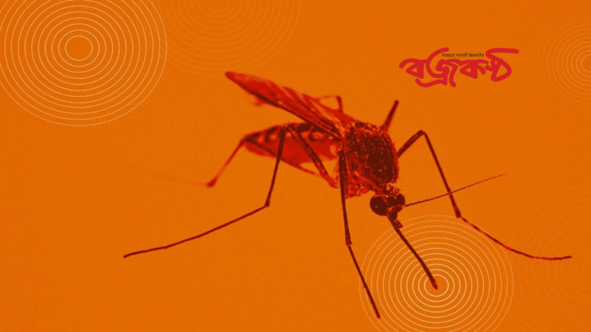 ডেঙ্গুতে প্রাণ গেল আরও ২ জনের