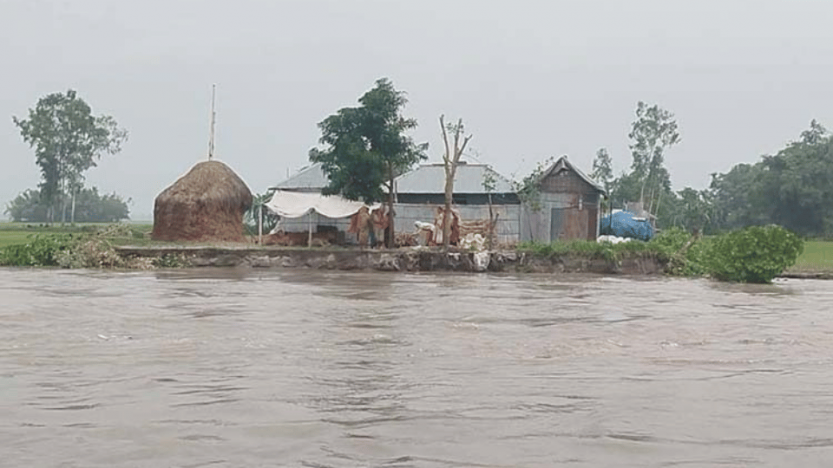 তিস্তার আগ্রাসী রূপ, পানিবন্দি মানুষের নির্ঘুম রাত