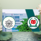 শাপলা নয়, এনসিপিকে অন্য প্রতীক দিয়ে গণবিজ্ঞপ্তি জারি করবে ইসি