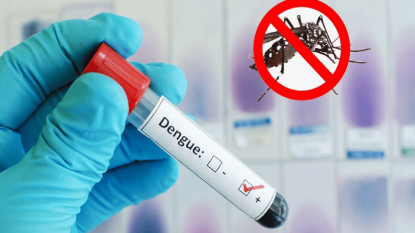 ডেঙ্গুতে একদিনে হাসপাতালে ভর্তি ৪১০