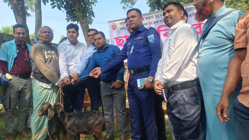 ফুলবাড়ীতে ক্ষুদ্র নৃগোষ্ঠীর মাঝে ছাগল বিতরণ