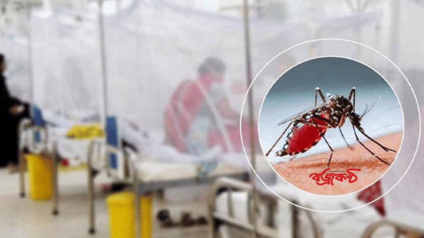 বাড়ছে ডেঙ্গুর প্রকোপ, মশারি ব্যবহারে মন্ত্রণালয়ের নিদের্শনা