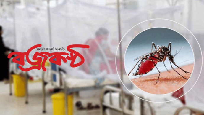 ডেঙ্গু আক্রান্ত হয়ে হাসপাতালে ভর্তি ৮৩৪ জন