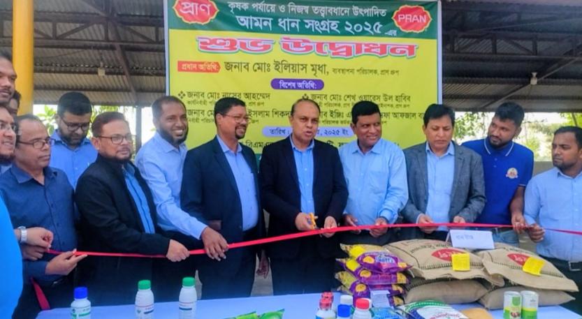 ফুলবাড়ীতে প্রাণের চুক্তিবদ্ধ কৃষকদের কাছ থেকে আমন ধান সংগ্রহ ও বোরো ধানের  বীজ বিতরণ এর কার্যক্রম উদ্বোধন