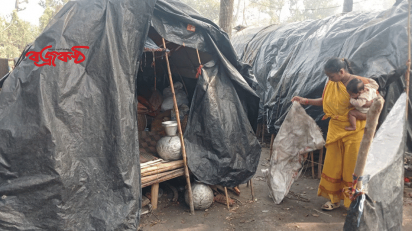 পাংশায় তীব্র শীতে বেদে পল্লীর বাসিন্দাদের মানবেতর জীবন যাপন