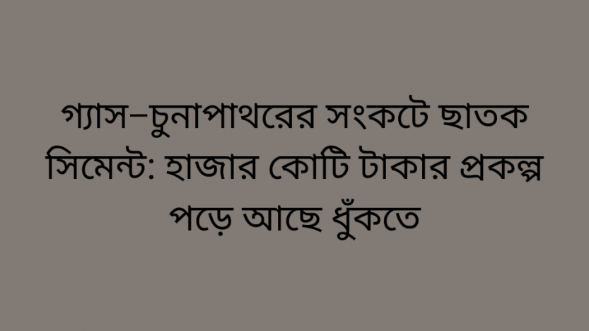গ্যাস–চুনাপাথরের সংকটে ছাতক সিমেন্ট: হাজার কোটি টাকার প্রকল্প পড়ে আছে ধুঁকতে