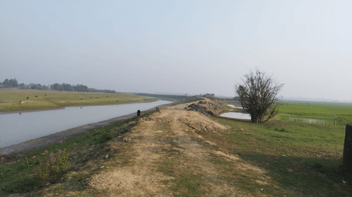 সুনামগঞ্জের দিরাই উপজেলায় হাওরের ফসল রক্ষা বাঁধ নির্মাণে অনিয়মের অভিযোগ