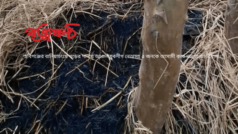 “হবিগঞ্জের বানিয়াচংয়ে খড়ের গাদায় আগুন!যুবলীগ নেতাসহ ৫ জনকে আসামী করে থানায় অভিযোগ।।”