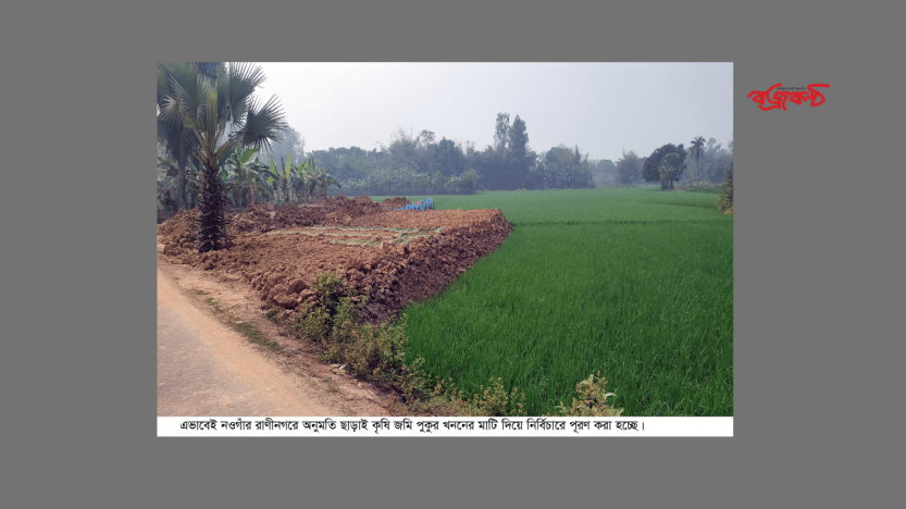 রাণীনগরে পুকুর খননের নামে মাটি বিক্রির মহোৎসব ।। অনুমতি ছাড়াই পূরণ হচ্ছে ফসলী জমি,ম‍্যানেজ প্রক্রিয়ায় চলছে