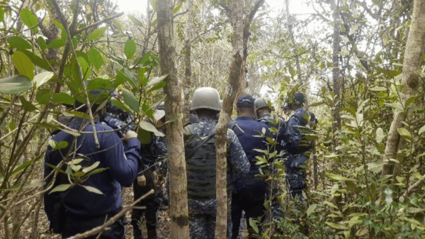 সুন্দরবনের দস্যুদের বিরুদ্ধে যৌথবাহিনীর অভিযান অব্যাহত